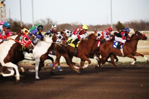 New Horse Racing Betting India Tricks: Pro Tips to Win in India (2026)